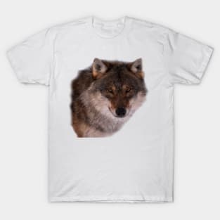 Wolf Face T-Shirt